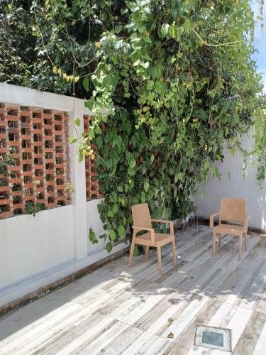 whatsapp_image_2023-10-17_at_22