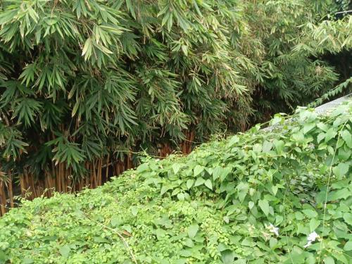 whatsapp_image_2023-10-17_at_22